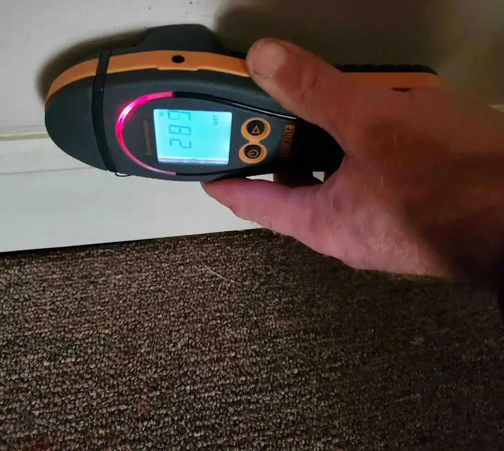 Moisture detection at baseboard during Burst Pipe Cleanup in Hickory